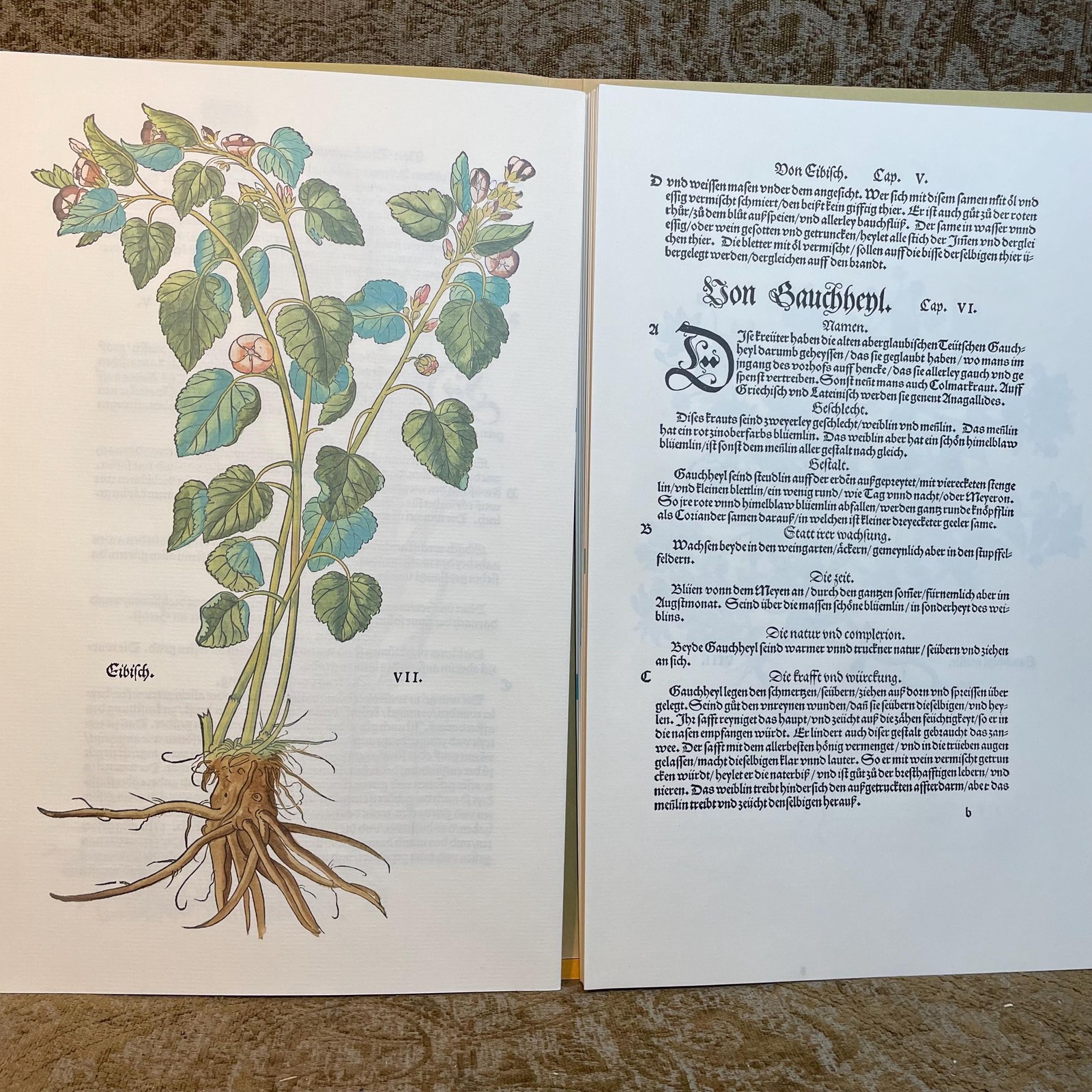 New Kreuterbuch Im Jar MDXLIII, Dokumentation zur Faksimileausgabe. Translated: New Herbal Book in the Year 1543, Documentation for the Facsimile Edition. — photograph 7.