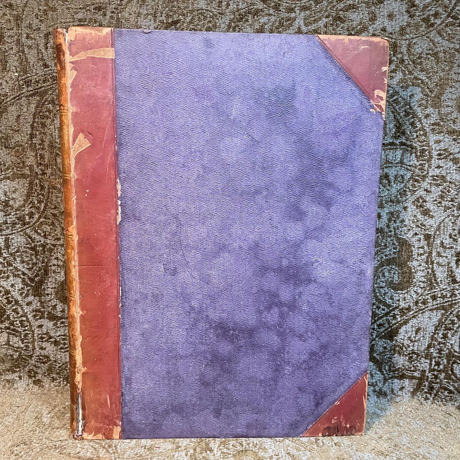 The Magazine of Art, Vol. VIII. — photograph 2.