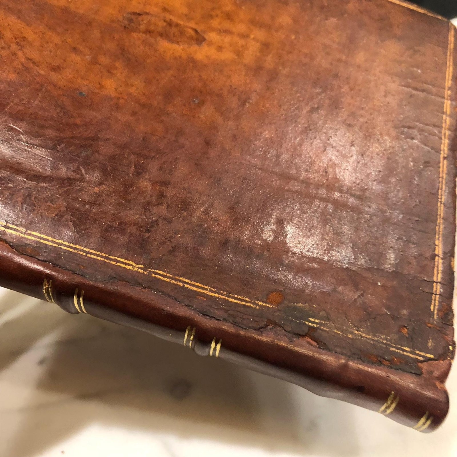 An Epistle to The Inhabitants of South-Carolina; Containing Sundry Observations Proper to be Consider'd by Every Professor of Christianity in General — photograph 8.