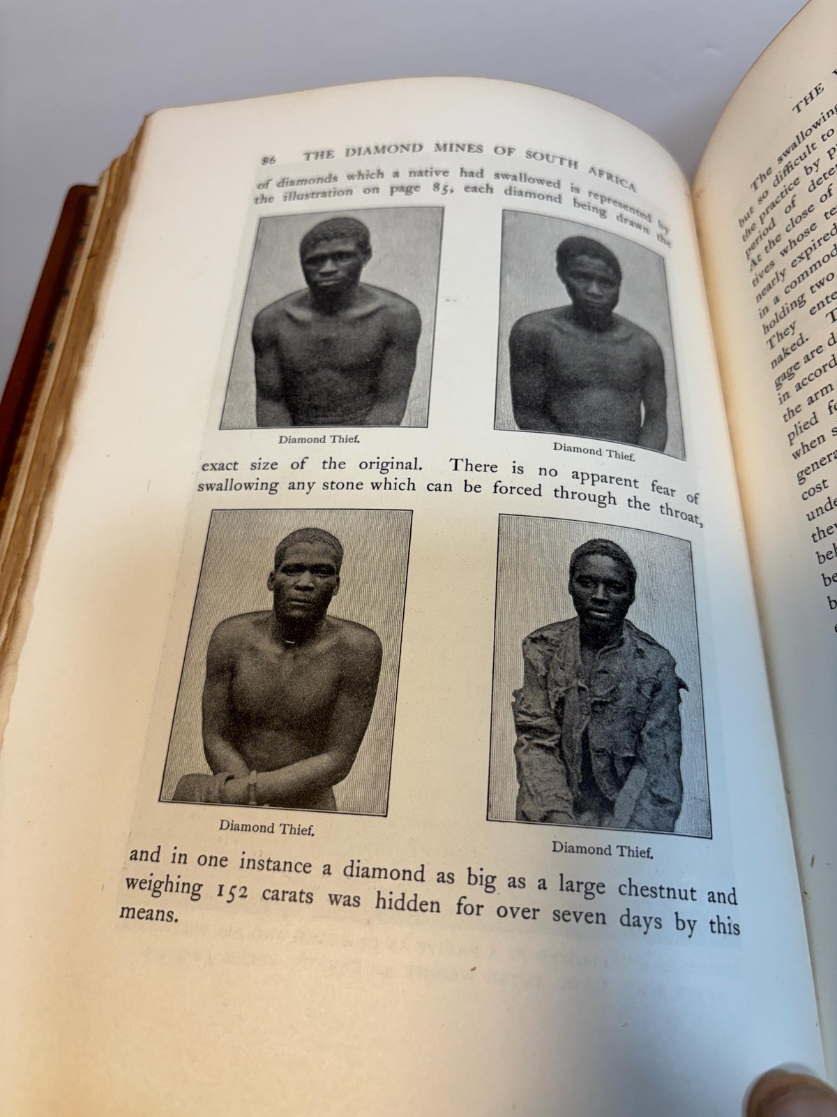 The Diamond Mines of South Africa. Illustrated (2 Volumes) — photograph 9.
