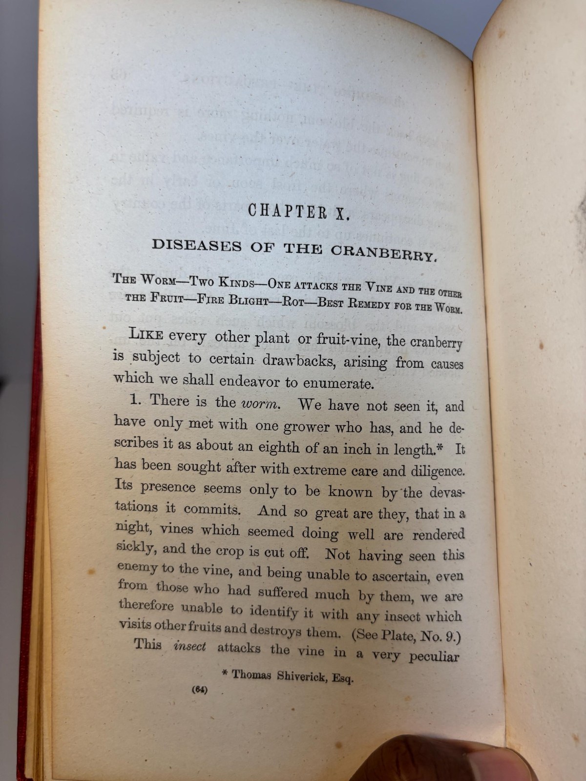 A Complete Manual for The Cultivation of The Cranberry, With a Description of The Best Varieties. First Edition. — photograph 8.
