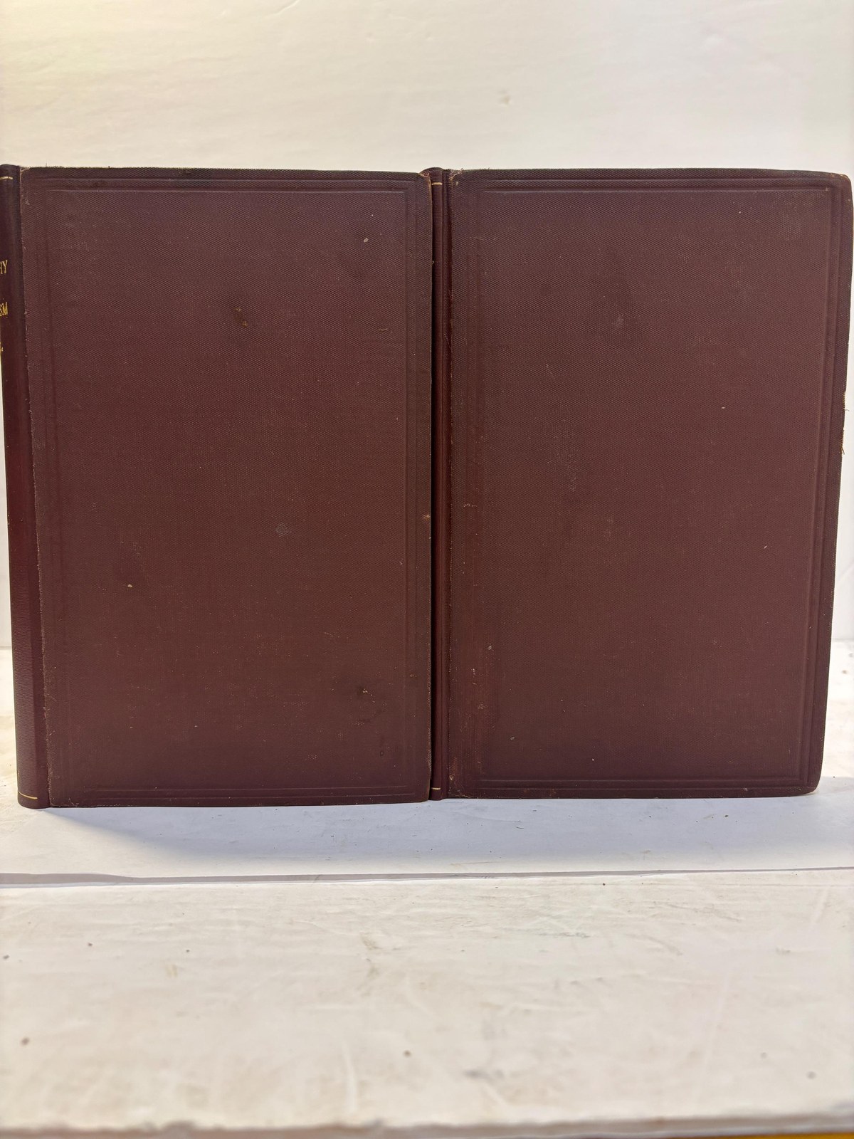 The Philosophy of Mysticism In Two Volumes. First Edition. — photograph 3.