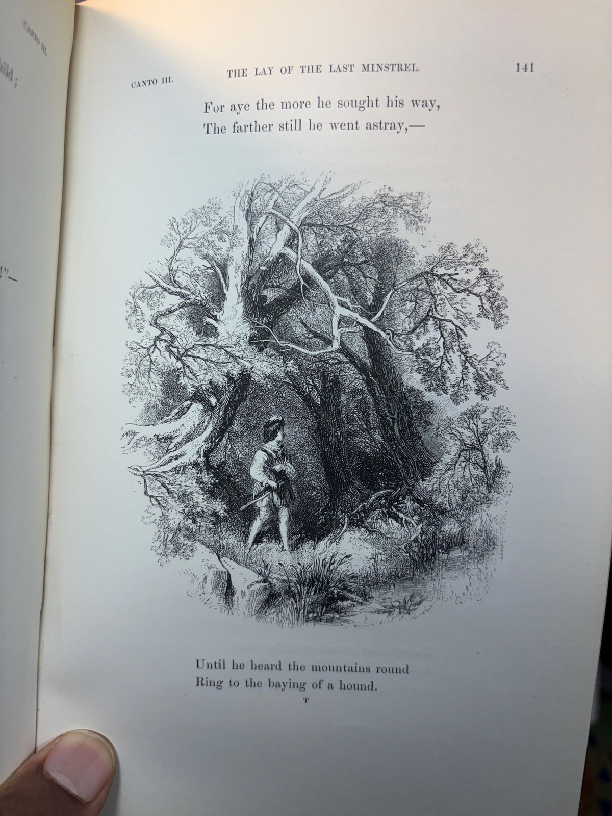 The Lay of The Last Minstrel, With all His Introductions, and The Editor's Notes. Illustrated by One Hundred Engravings on Wood From Drawings by Birket Foster and John Gilbert. — photograph 7.