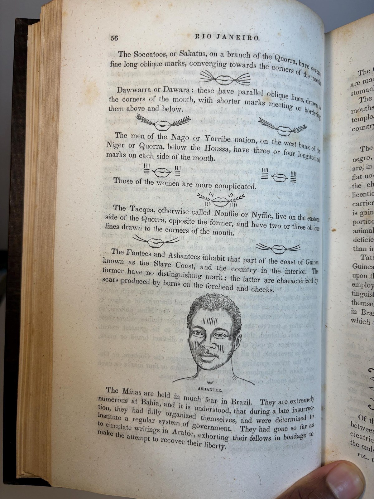 Narrative of The United States Exploring Expedition. During the years 1838, 1839, 1840, 1841, 1842. With Illustrations and Maps In Five Volumes. — photograph 8.