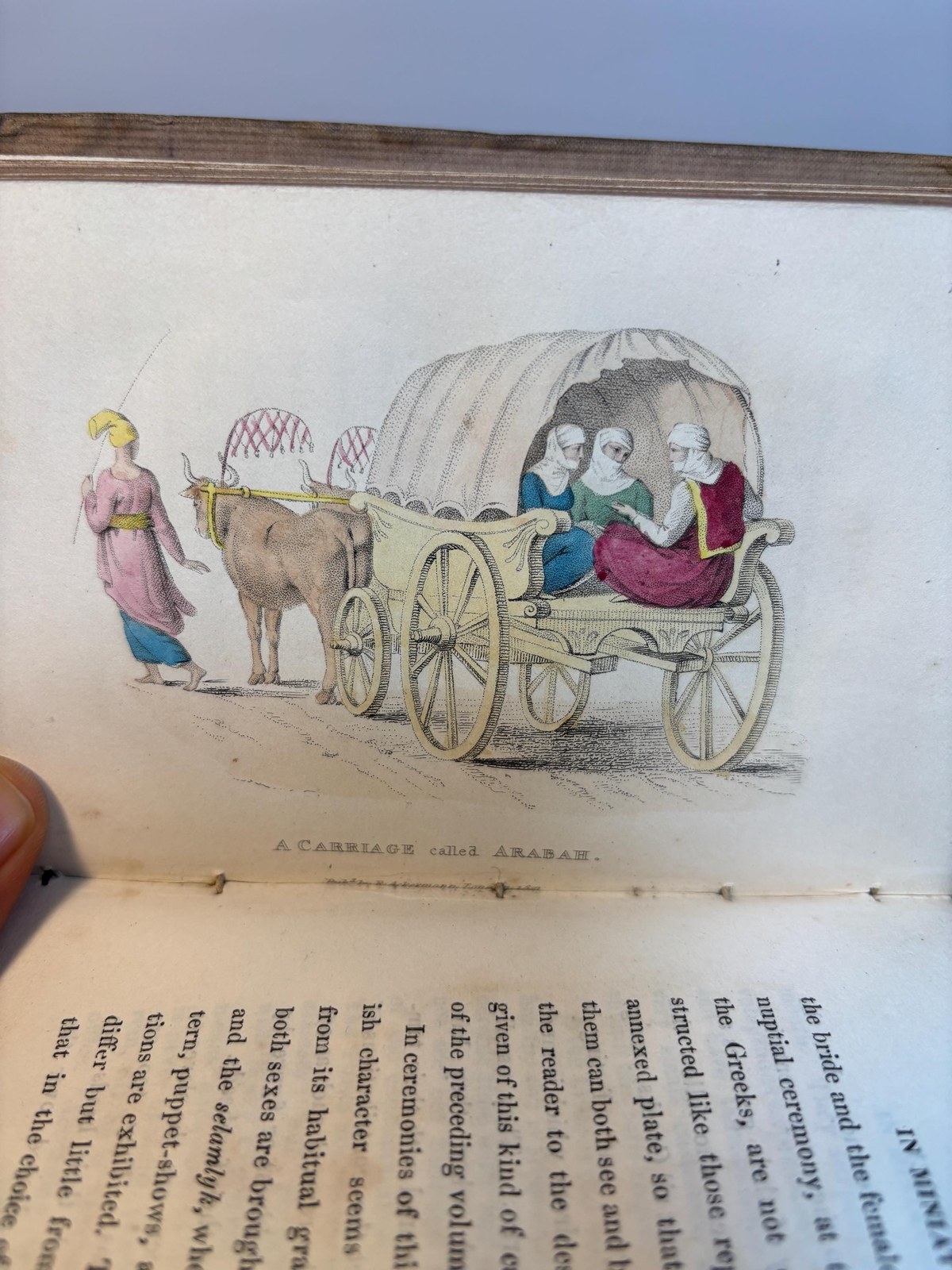 The World in Miniature; Turkey, Being A Description of The Manners, Customs, Dresses, and Other Peculiarities Characteristic of the Inhabitants of The Turkish Empire; To Which is Prefixed and Sketch of The History of The Turks;.. And Illustrated with Seventy-Three Coloured Engravings, Containing Upwards of One Hundred and Fifty Costumes. In Six Volumes. (4 volumes, lacking volumes I, IV., with 52 hand-colored plates) — photograph 9.