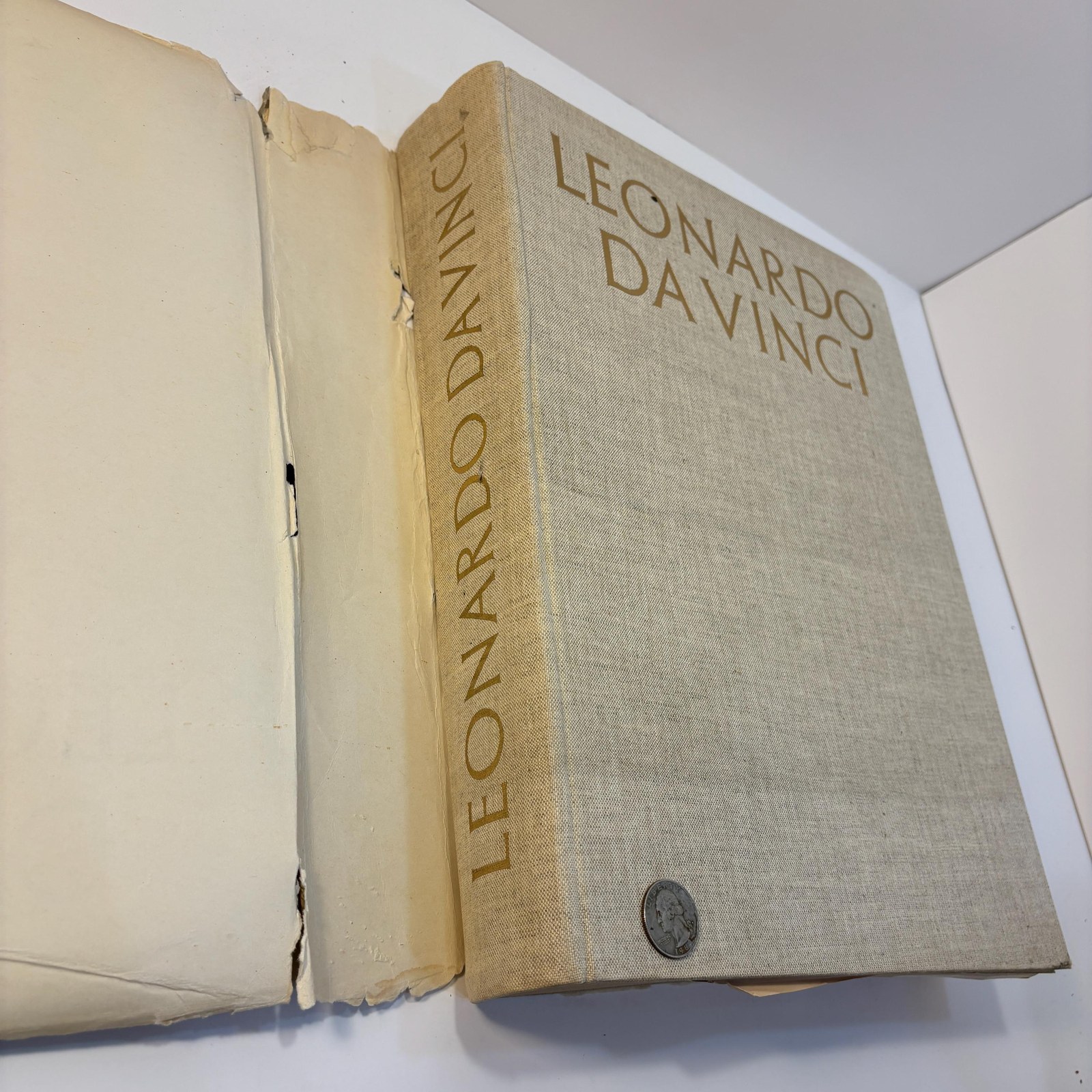 Leonardo Da Vinci — photograph 6.
