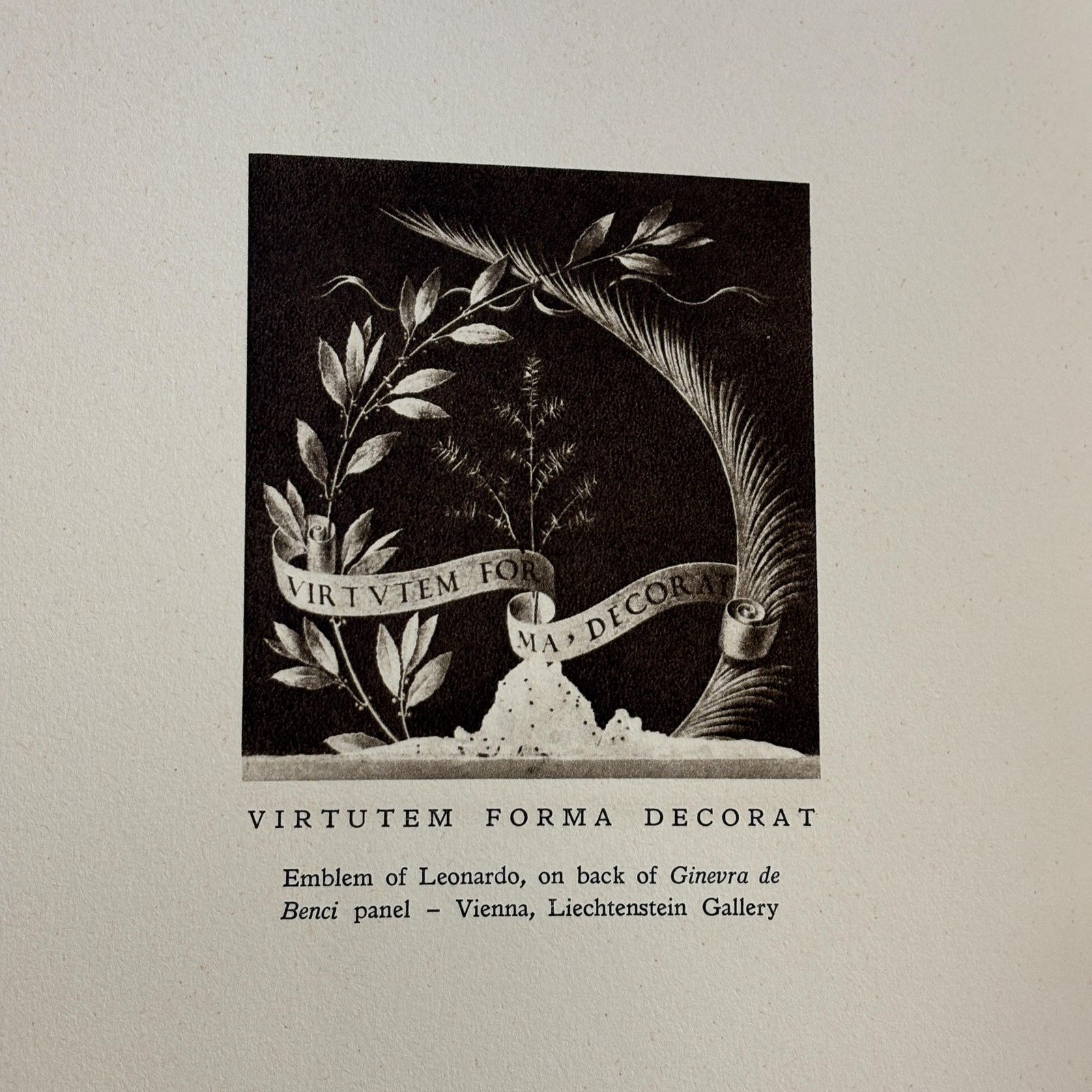 Leonardo Da Vinci — photograph 7.