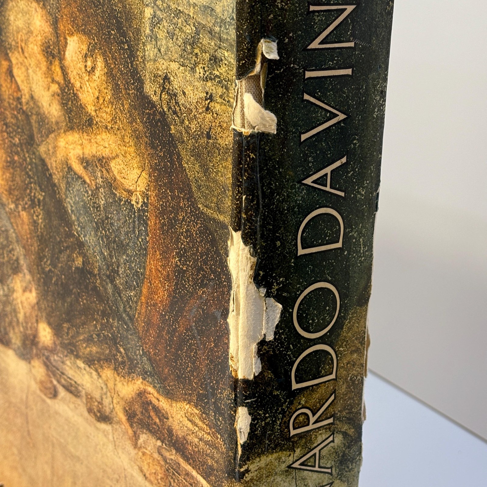 Leonardo Da Vinci — photograph 8.
