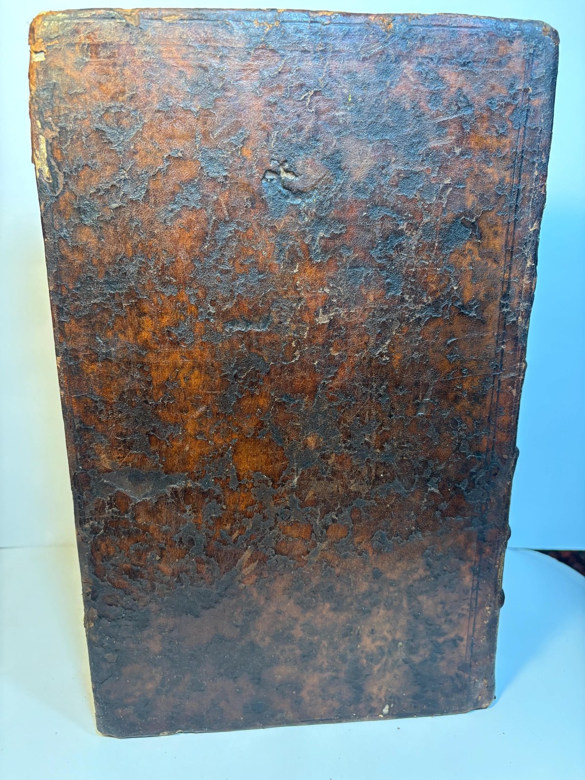 A Lapide E Societate Jesu, Sacrae Scripturae Olim Lovanii, Postea Romae Professoris, Commentaria In Josue, Judicum, Ruth, Quatuor Libros Regum, Et Duos Paralipomenon. Editio Novissima Anterioribus Auctior, Et Correctior, Ac Indicibus Necessariis Illustrata. (Vol. II of 2) Translated: A Lapide Of the Society of Jesus, Former Professor of Sacred Scripture at Louvain, Later at Rome, Commentaries On Joshua, Judges, Ruth, The Four Books of Kings, And The Two Books of Chronicles. Newest Edition, More Complete Than Previous Ones, And More Corrected, With Necessary Indexes Included. — photograph 3.