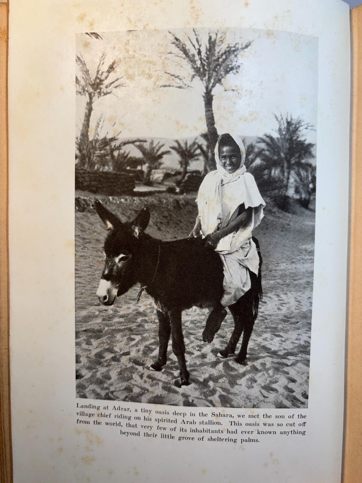 The Flying Carpet, Stated First Edition, Presentation Copy inscribed by Author — photograph 5.