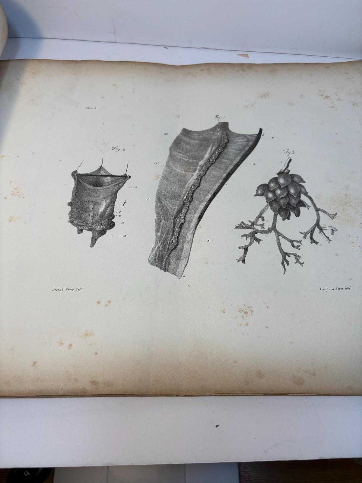Atlas only of Illustrations of Some of the Principal Diseases of The Ovaria, Their Symptons and Traetment — photograph 3.