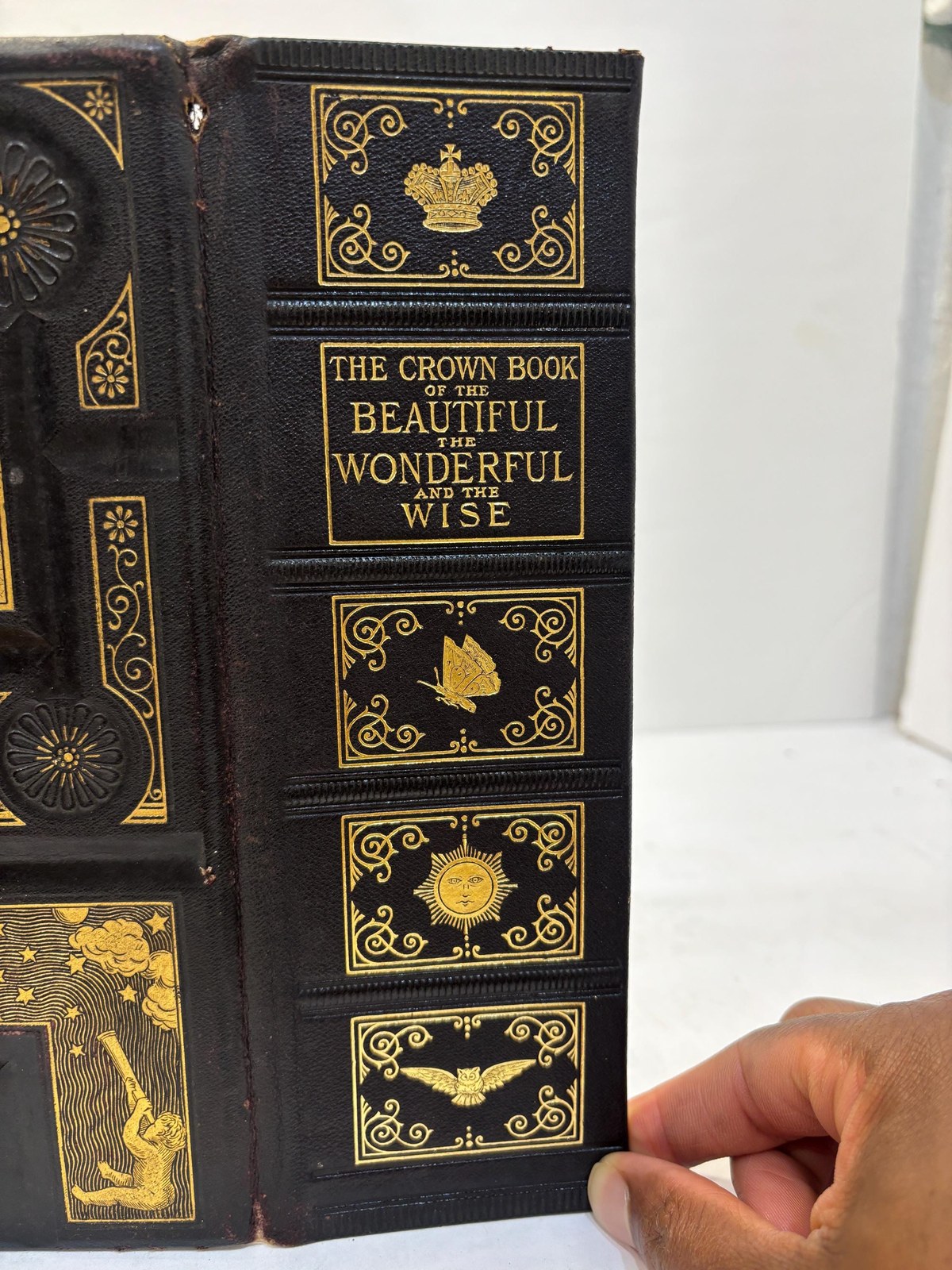 (Salesman's Prospectus) The Crown Book of The Beautiful, The Wonderful and the Wise Presenting in Attractive Forms some of The Notable Things in Poetic Literature, In Science and In Art, In History and Biography, In Earth, Sea and Sky in Philosophy and Music.., Revised Edition. With an Introduction by Thomas Chase... — photograph 3.