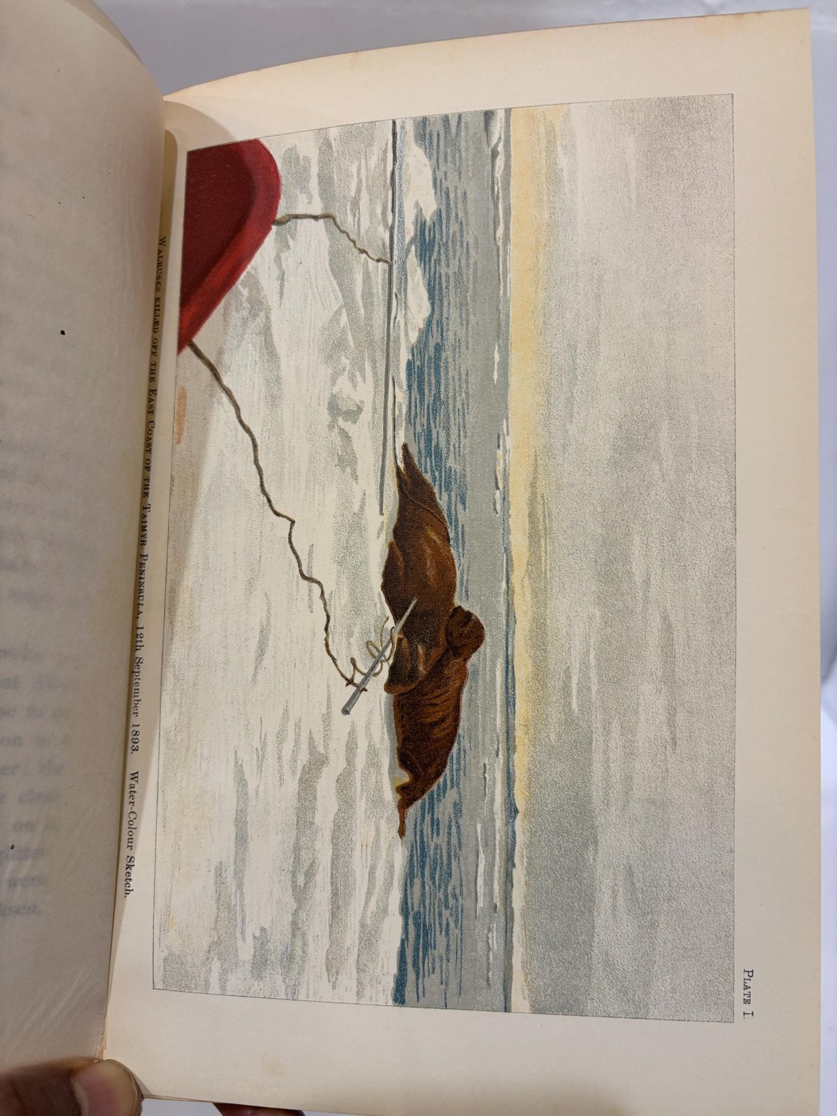 Farthest North Being the Record of a Voyage of Exploration of the Ship "Fram" 1893-96 and of a Fifteen Months' Sleigh Journey by Dr. Nansen and Lieut. Johansen. About 120 Full Page and Numerous Text Illustrations 16 Colored Plates in Facsimile from Dr. Nansen's Own Sketches, Etched Portrait, Photogravures, and 4 Maps. In Two Volumes. — photograph 5.