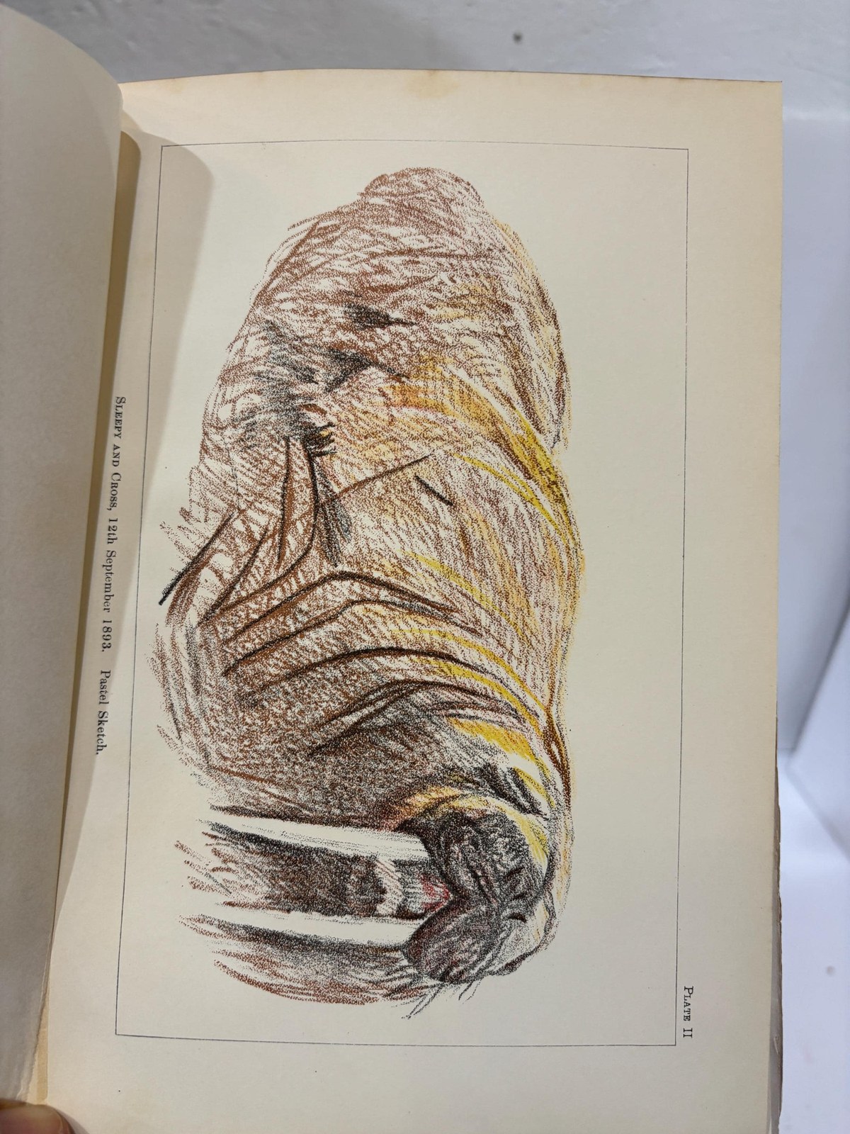 Farthest North Being the Record of a Voyage of Exploration of the Ship "Fram" 1893-96 and of a Fifteen Months' Sleigh Journey by Dr. Nansen and Lieut. Johansen. About 120 Full Page and Numerous Text Illustrations 16 Colored Plates in Facsimile from Dr. Nansen's Own Sketches, Etched Portrait, Photogravures, and 4 Maps. In Two Volumes. — photograph 6.