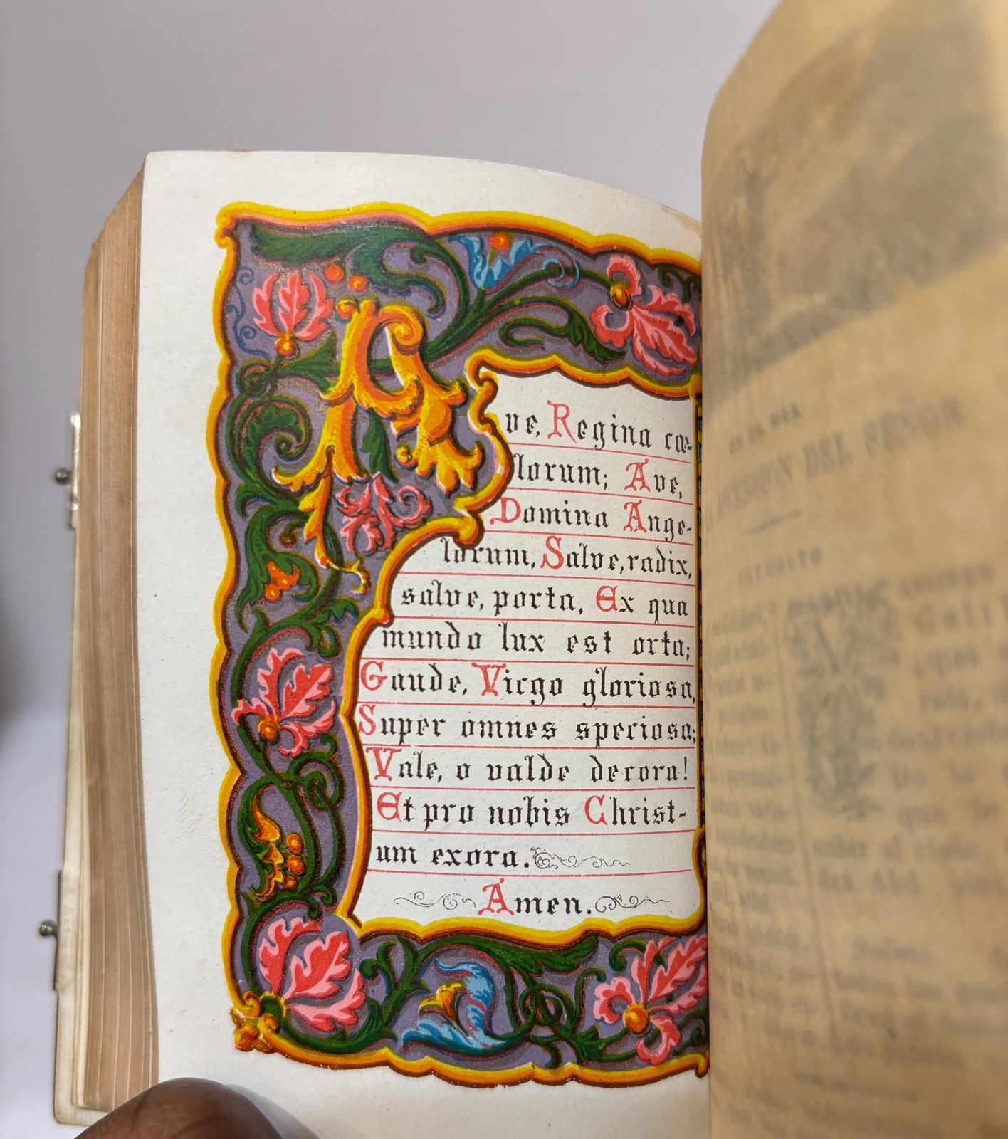 Oficio divino Para Todos los dias de fiesta y de precepto En latin y castellano Nueva edicion Aumentada Con la semana santa E ilustrada con laminas finas Translated: Divine office For All the feast days and days of obligation In Latin and Spanish New edition Expanded With holy week And illustrated with fine plates. Spanish Language, Color Plates. — photograph 10.
