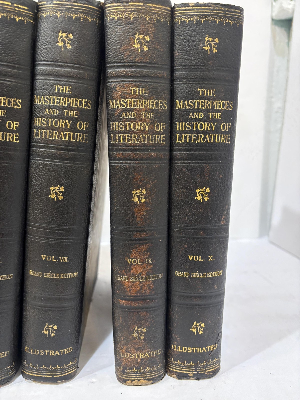 The Masterpieces and The History of Literature, Analysis, Criticism, Character and Incedent. Forty Photogravure Plates, Complete in Ten Volumes — photograph 3.