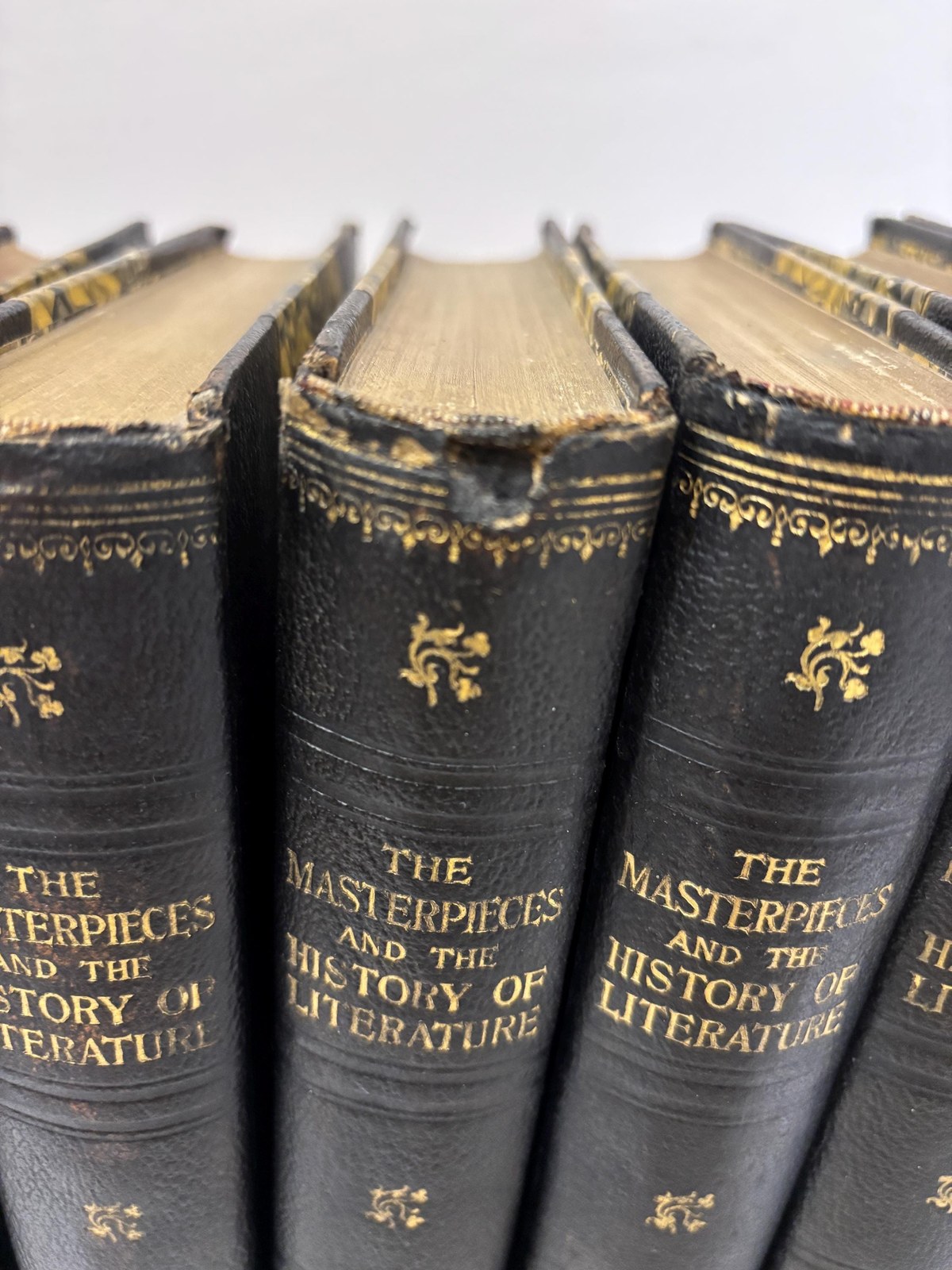The Masterpieces and The History of Literature, Analysis, Criticism, Character and Incedent. Forty Photogravure Plates, Complete in Ten Volumes — photograph 4.