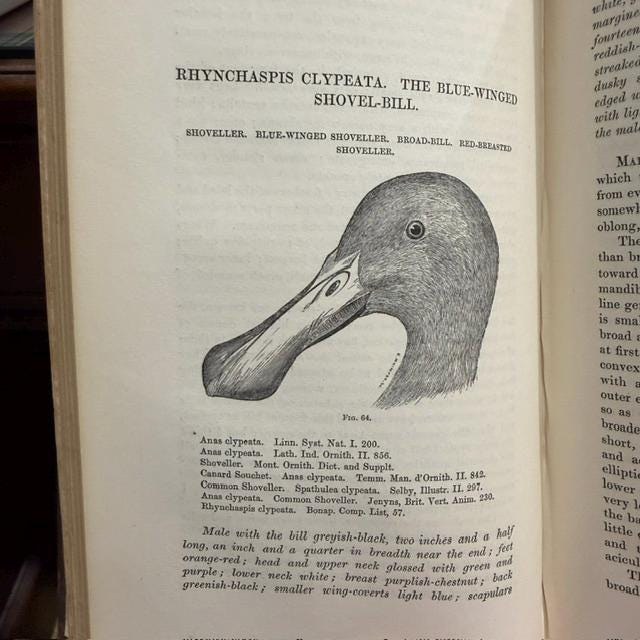A History of British Birds, Indigenous and Migratory: Including Their organization, Habits, and Relations; Remarks on Classification and Nomenclature; An Account of The Principal Organs of Birds, and Observations Relative to Practical Ornithology. Illustrated by Numerous Engravings. — photograph 10.