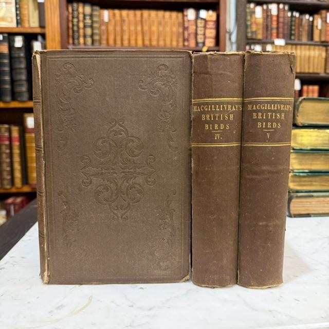 A History of British Birds, Indigenous and Migratory: Including Their organization, Habits, and Relations; Remarks on Classification and Nomenclature; An Account of The Principal Organs of Birds, and Observations Relative to Practical Ornithology. Illustrated by Numerous Engravings. — photograph 3.
