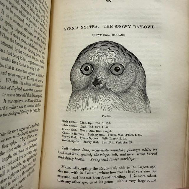 A History of British Birds, Indigenous and Migratory: Including Their organization, Habits, and Relations; Remarks on Classification and Nomenclature; An Account of The Principal Organs of Birds, and Observations Relative to Practical Ornithology. Illustrated by Numerous Engravings. — photograph 4.