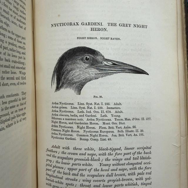 A History of British Birds, Indigenous and Migratory: Including Their organization, Habits, and Relations; Remarks on Classification and Nomenclature; An Account of The Principal Organs of Birds, and Observations Relative to Practical Ornithology. Illustrated by Numerous Engravings. — photograph 6.