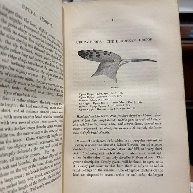 A History of British Birds, Indigenous and Migratory: Including Their organization, Habits, and Relations; Remarks on Classification and Nomenclature; An Account of The Principal Organs of Birds, and Observations Relative to Practical Ornithology. Illustrated by Numerous Engravings. — photograph 7.