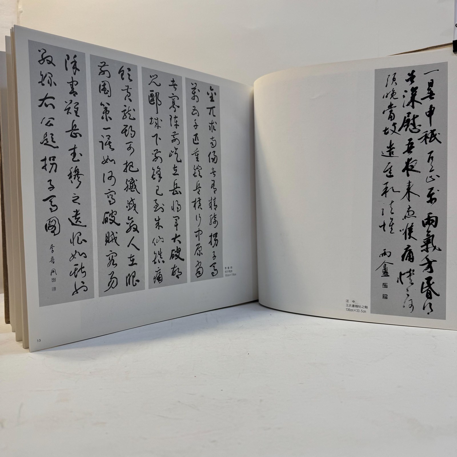Contemporary Art in Taipei (Taiwan) — photograph 9.