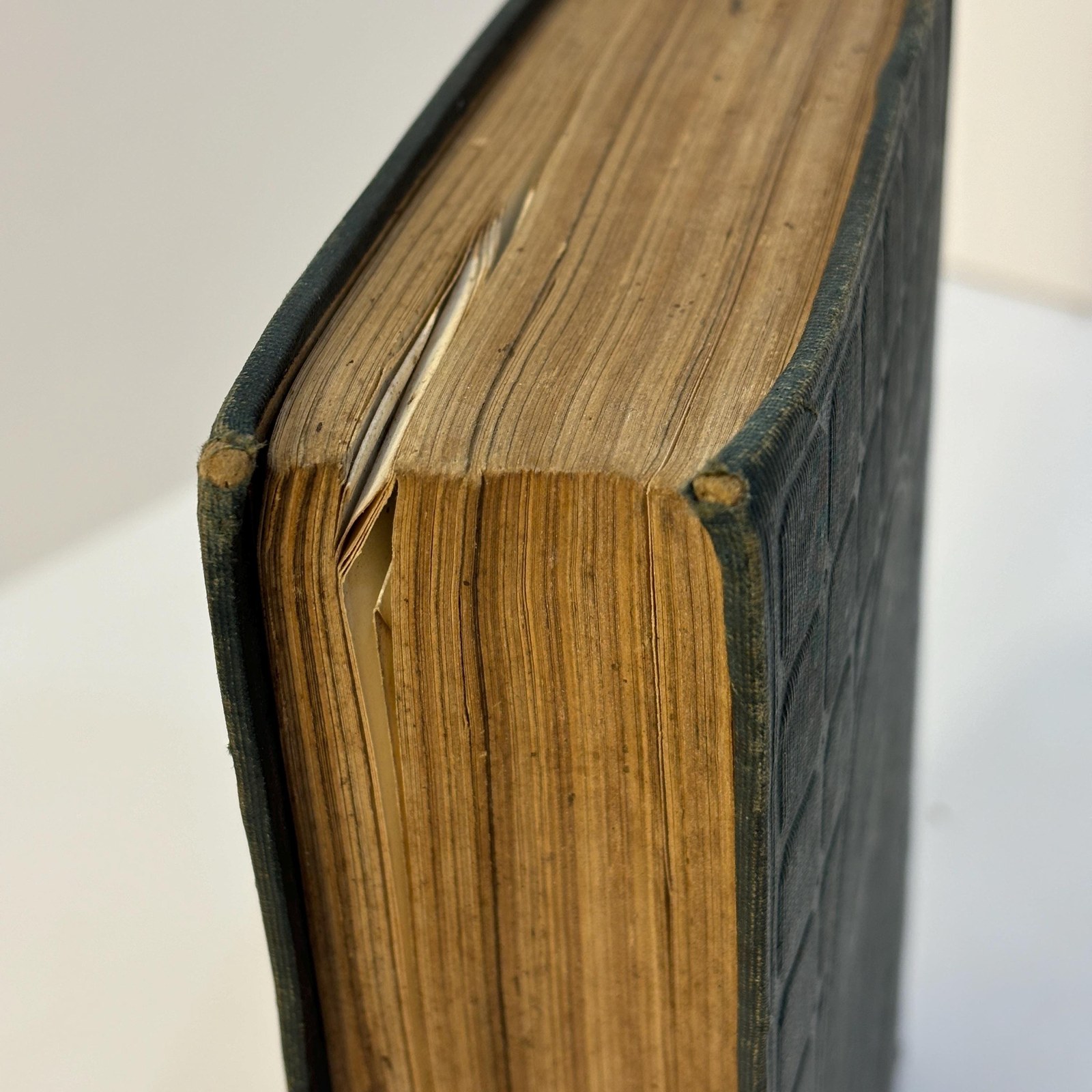 Memoir of The Life and Public Services of John Charles Fremont, Including an Account of His Explorations, Discoveries and Adventures on Five Succesive Expeditions Across The North American Continent; Voluminous Selections from His Private and Public Correspondence; His Defense Before the Court Martial, and Full Reports of His Principal Speeches in The Senate of The United States. With Printed Illustrations, and An Accurate Portrait on Steel. — photograph 7.