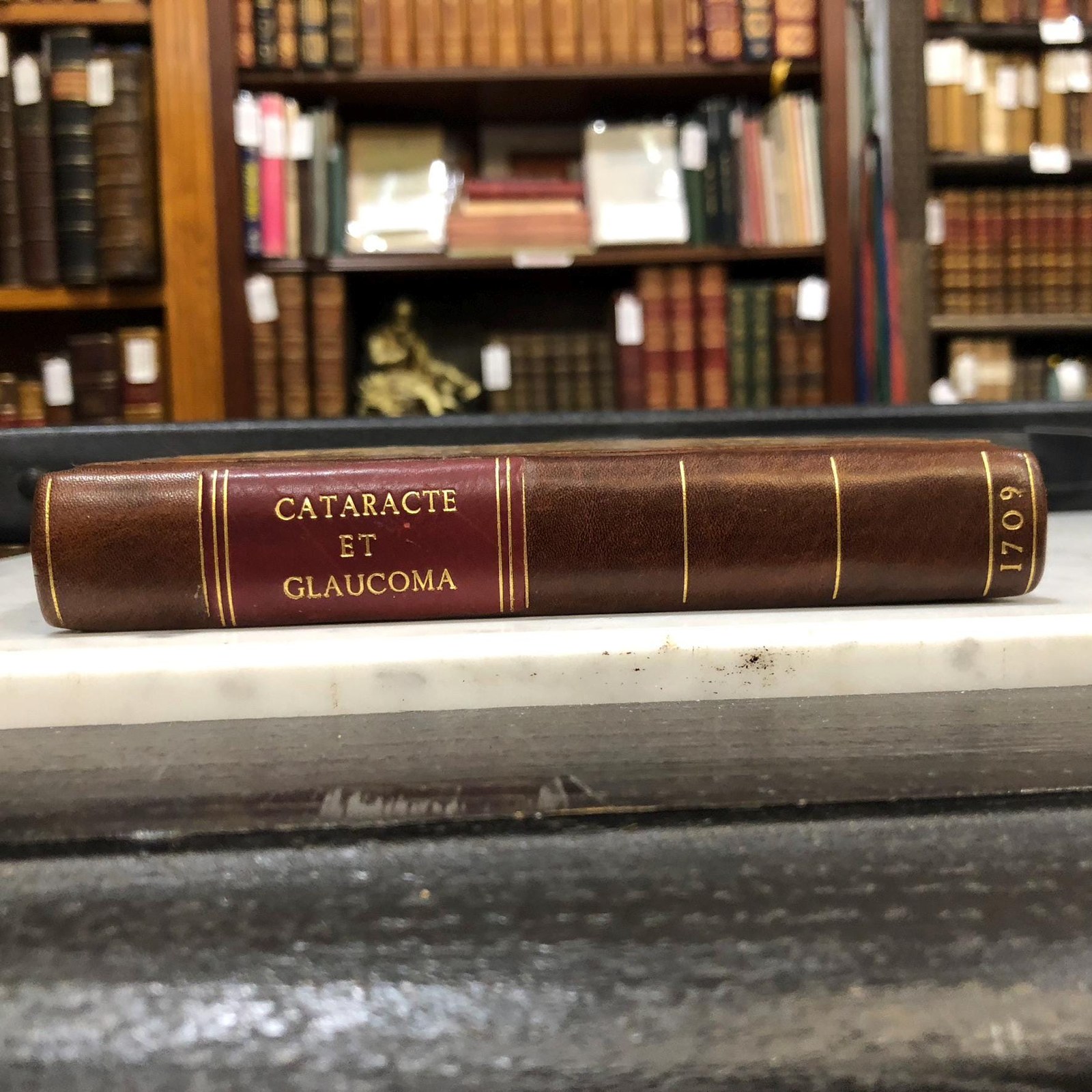 Traitè De La Cataracte Et Du Glaucoma. Par M. Brisseau le fils Medecin Major des Hôpitaux du Roy, & Pensionnaire de la Ville de Tournay. Translated: Treatise On the Cataract And Of Glaucoma. By Mr. Brisseau the son, Physician, Chief Physician of the King’s Hospitals, and Pensioner of the City of Tournai. French Language, First Edition. — photograph 6.