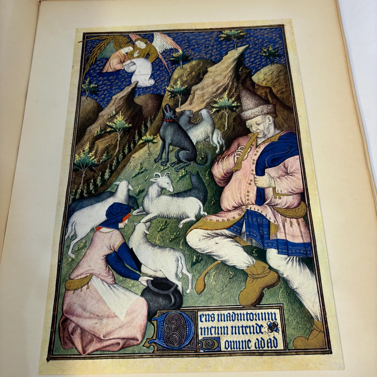 Les Grandes Heures de Rohan XV — photograph 6.