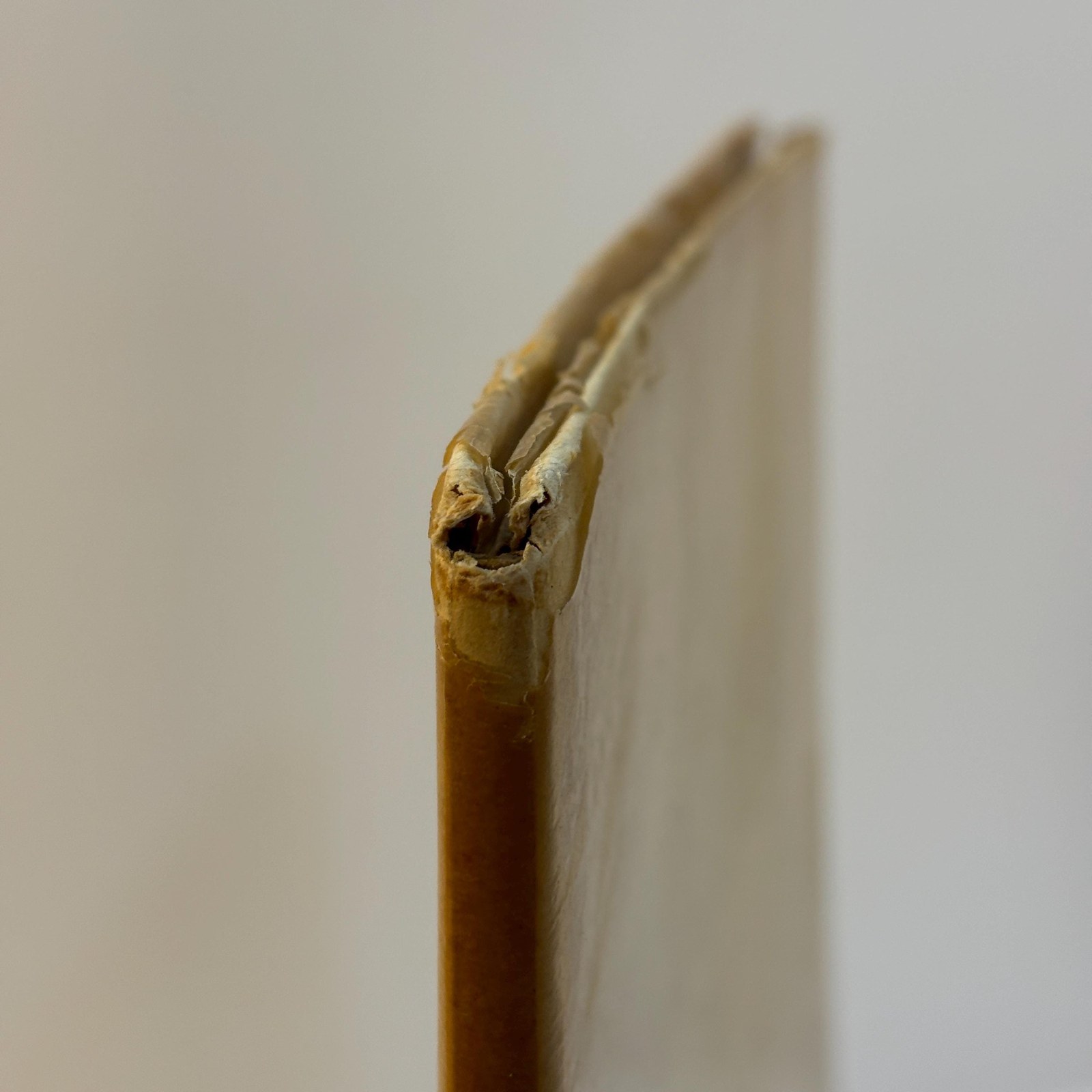 Les Grandes Heures de Rohan XV — photograph 9.