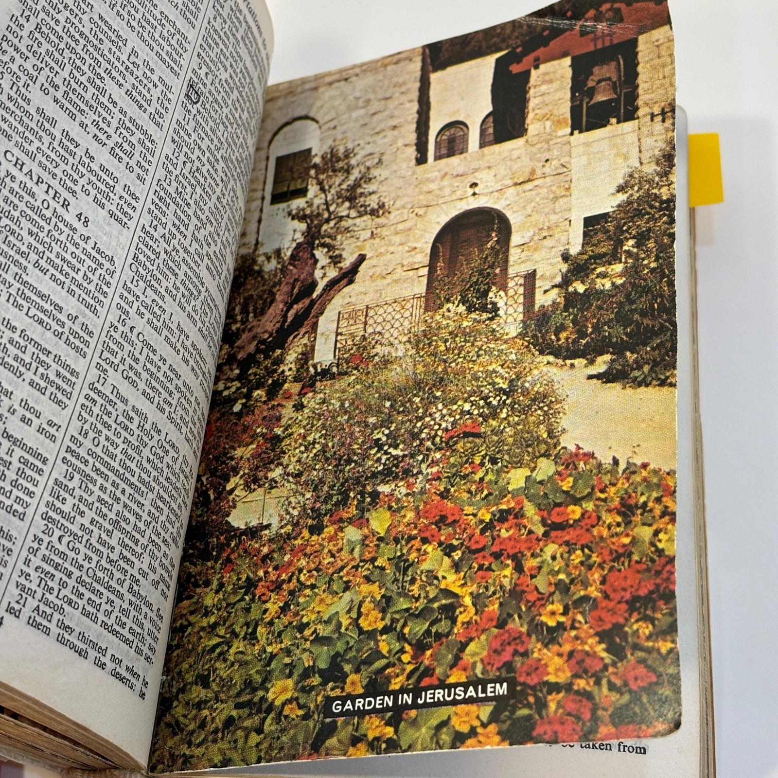 Holy Bible Containing the Old and New Testaments …and revised by His Majesty's special command. — photograph 3.