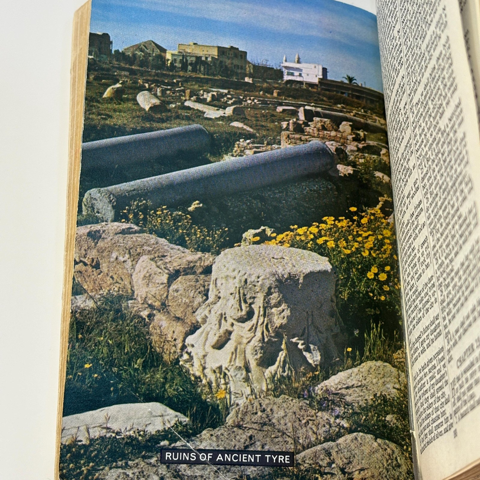 Holy Bible Containing the Old and New Testaments …and revised by His Majesty's special command. — photograph 9.