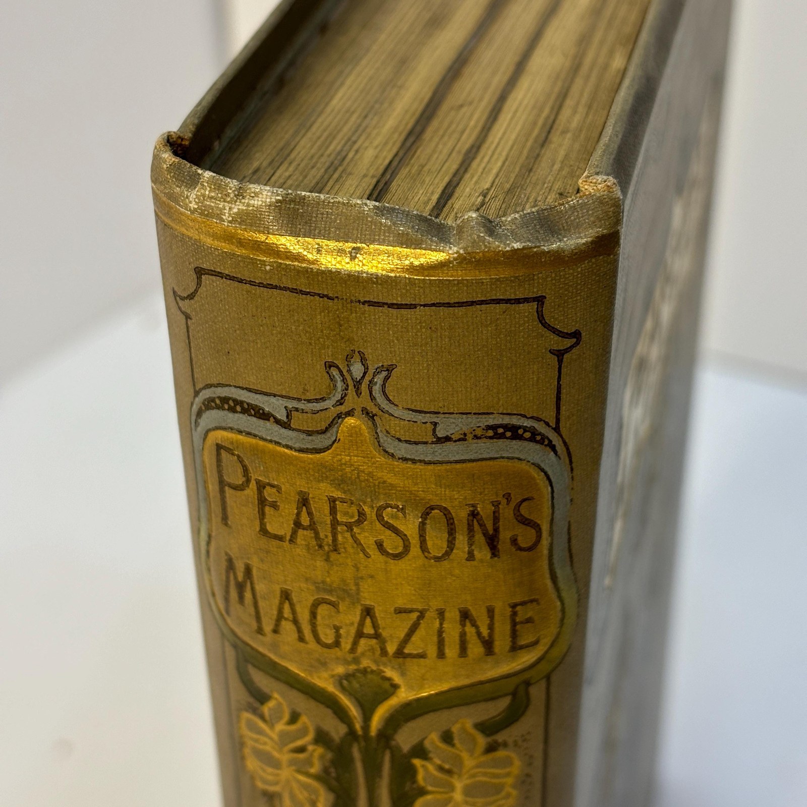 Pearson's Magazine, vol. XVII: January to June, 1904 — photograph 10.