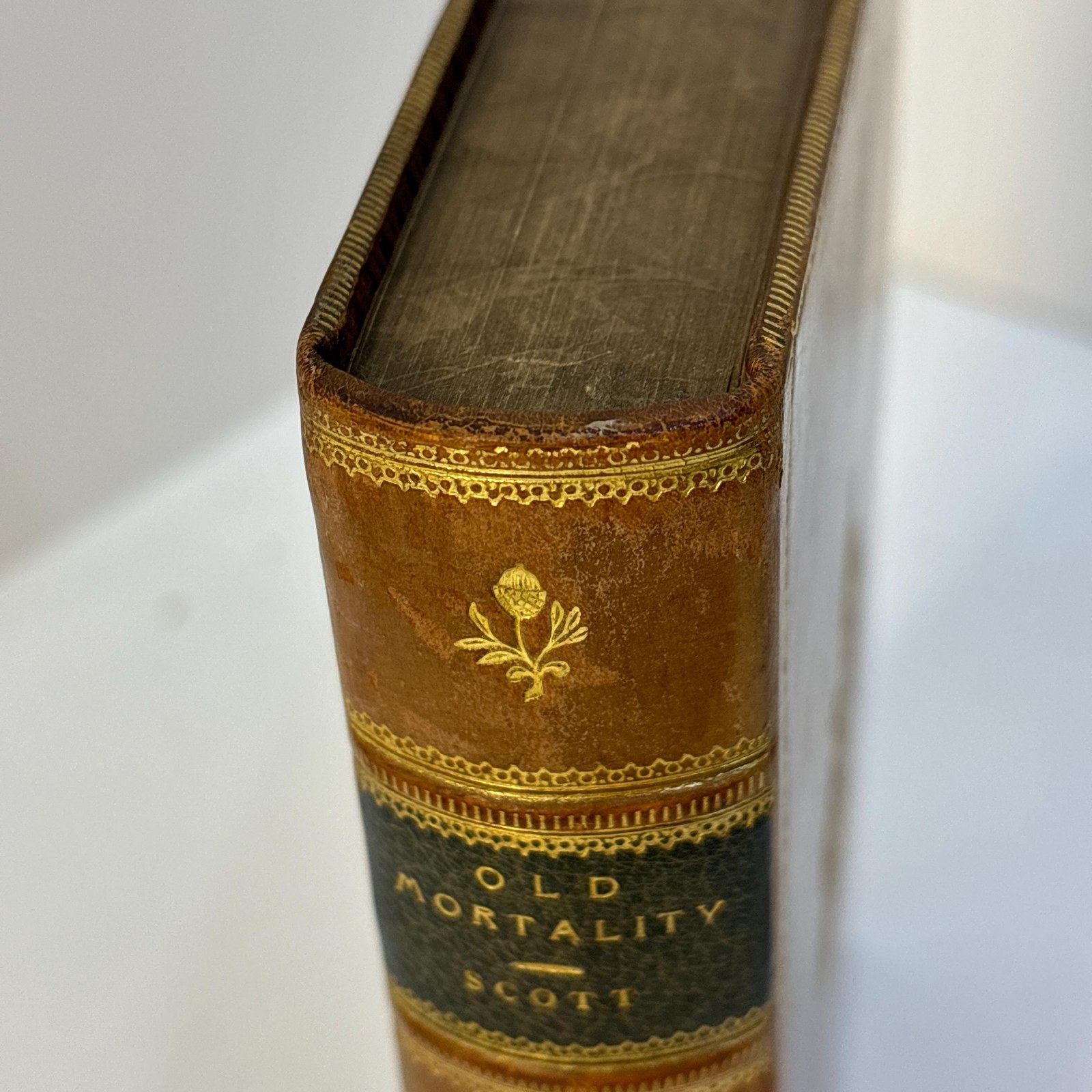 Old Mortality. Prize Binding, Signed Binding by John Galt. — photograph 7.