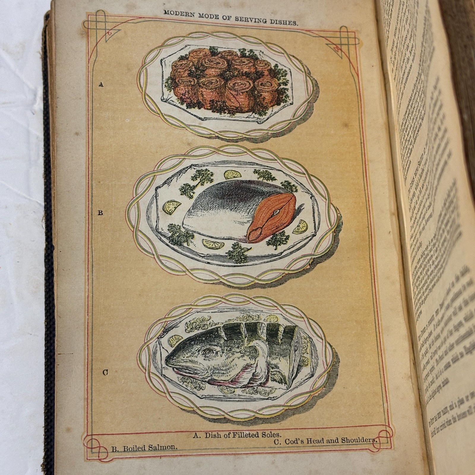 The Book of Household Management; Comprising Information for the Mistress, Housekeeper, et al. Also, Sanitary, Medical, & Legal Memoranda; With a History of The Origin, Properties, and Uses of All Things Connected With Home Life and Comfort. First Edition, Second Issue. — photograph 4.