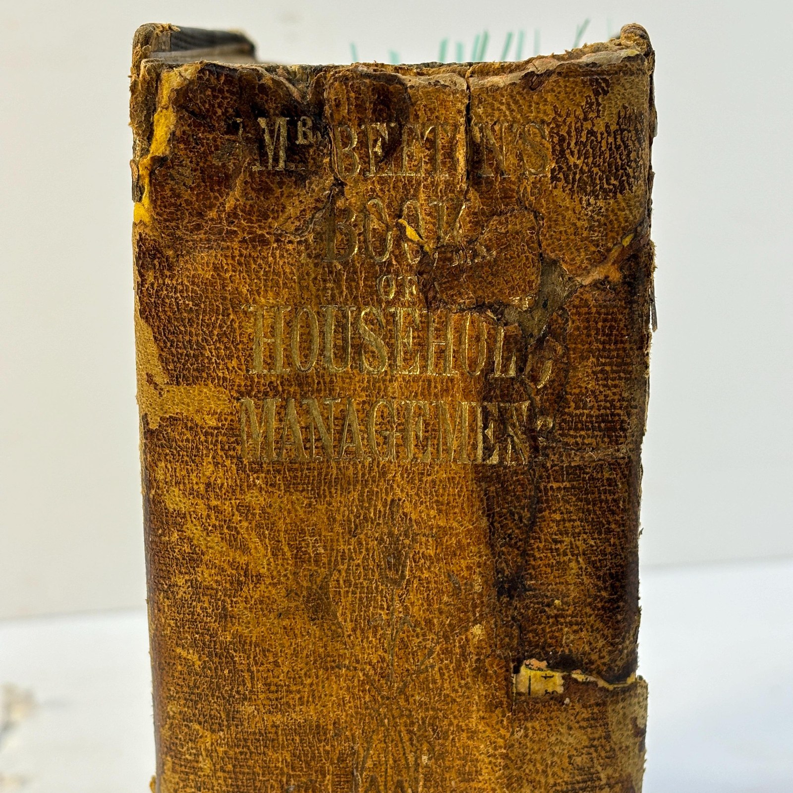 The Book of Household Management; Comprising Information for the Mistress, Housekeeper, et al. Also, Sanitary, Medical, & Legal Memoranda; With a History of The Origin, Properties, and Uses of All Things Connected With Home Life and Comfort. First Edition, Second Issue. — photograph 5.