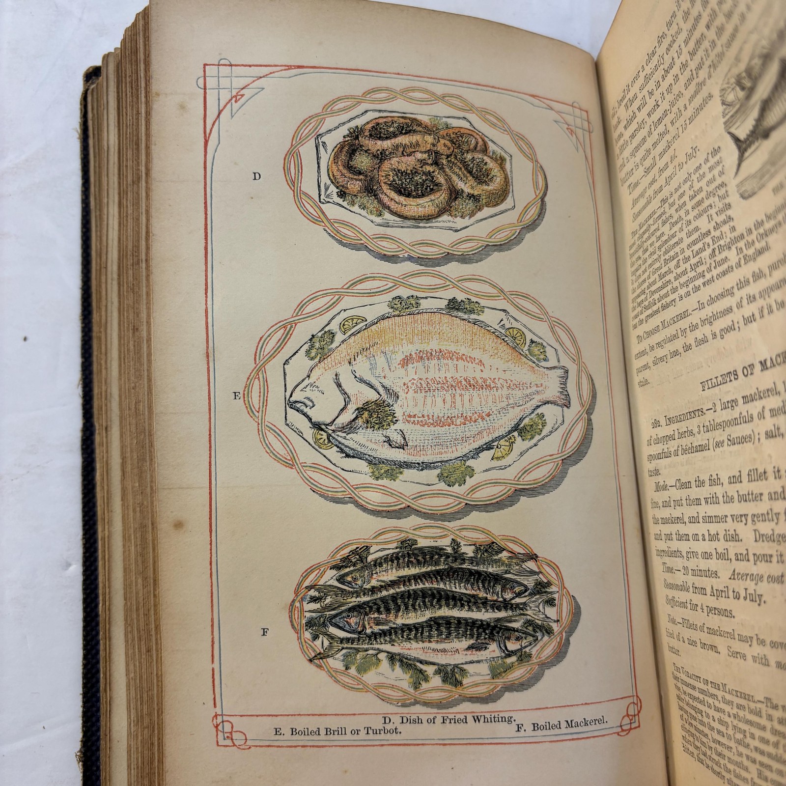The Book of Household Management; Comprising Information for the Mistress, Housekeeper, et al. Also, Sanitary, Medical, & Legal Memoranda; With a History of The Origin, Properties, and Uses of All Things Connected With Home Life and Comfort. First Edition, Second Issue. — photograph 8.