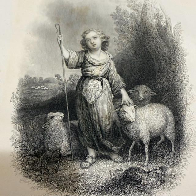 The Devotional Family Bible: With Practical and Experimental Reflections on Each Verse of The Old and New Testament, and Rich Marginal References. Illustrated with Numerous Engravings. (2 volumes) — photograph 8.