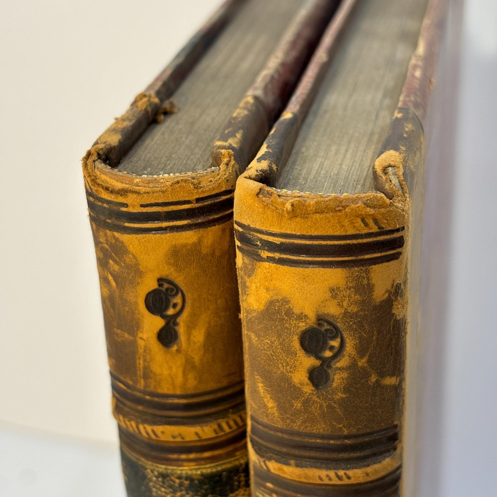 Punch, or The London Charivari. Vols. LXIV, LXV for the year 1873, 2 volumes. — photograph 5.