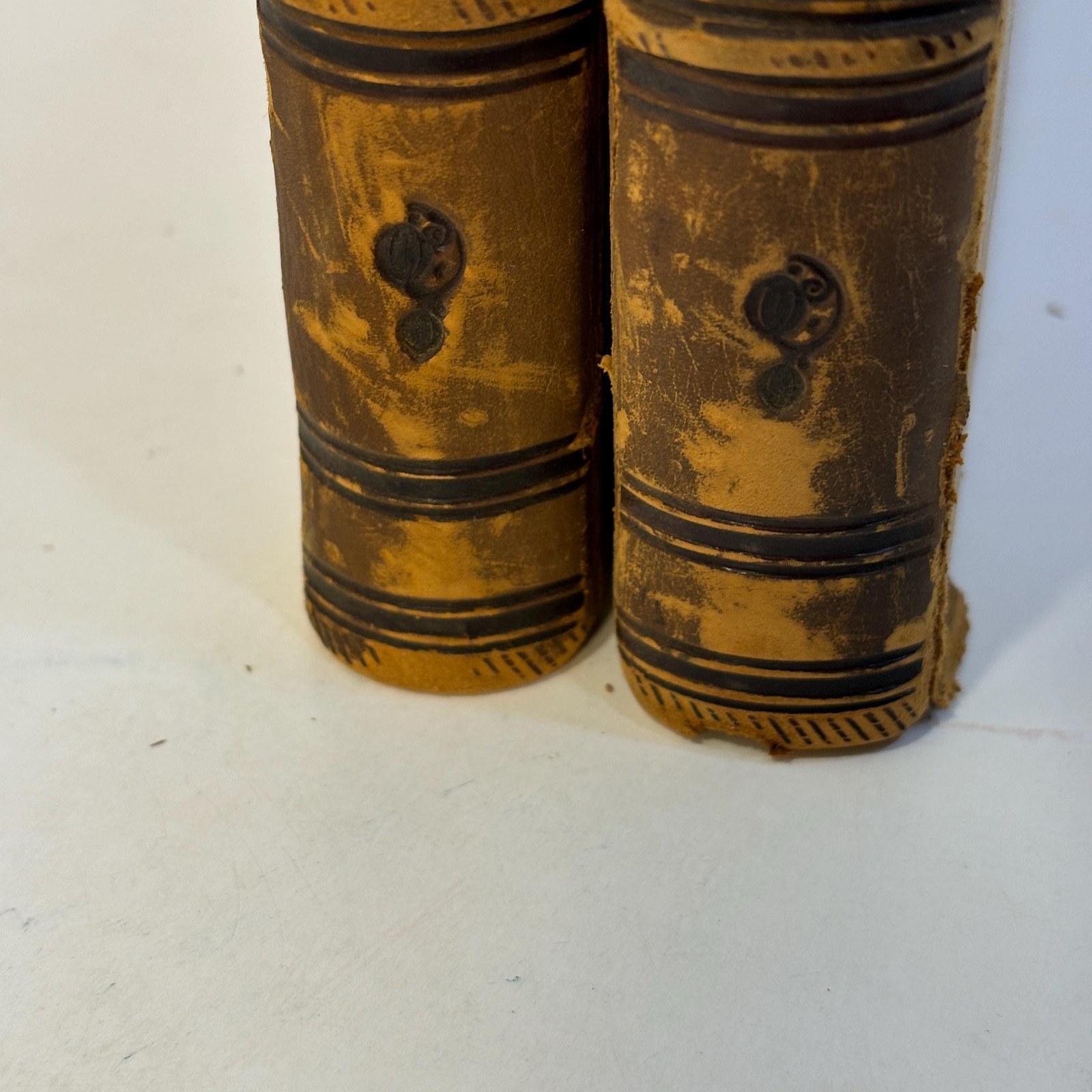Punch, or The London Charivari. Vols. LXIV, LXV for the year 1873, 2 volumes. — photograph 8.