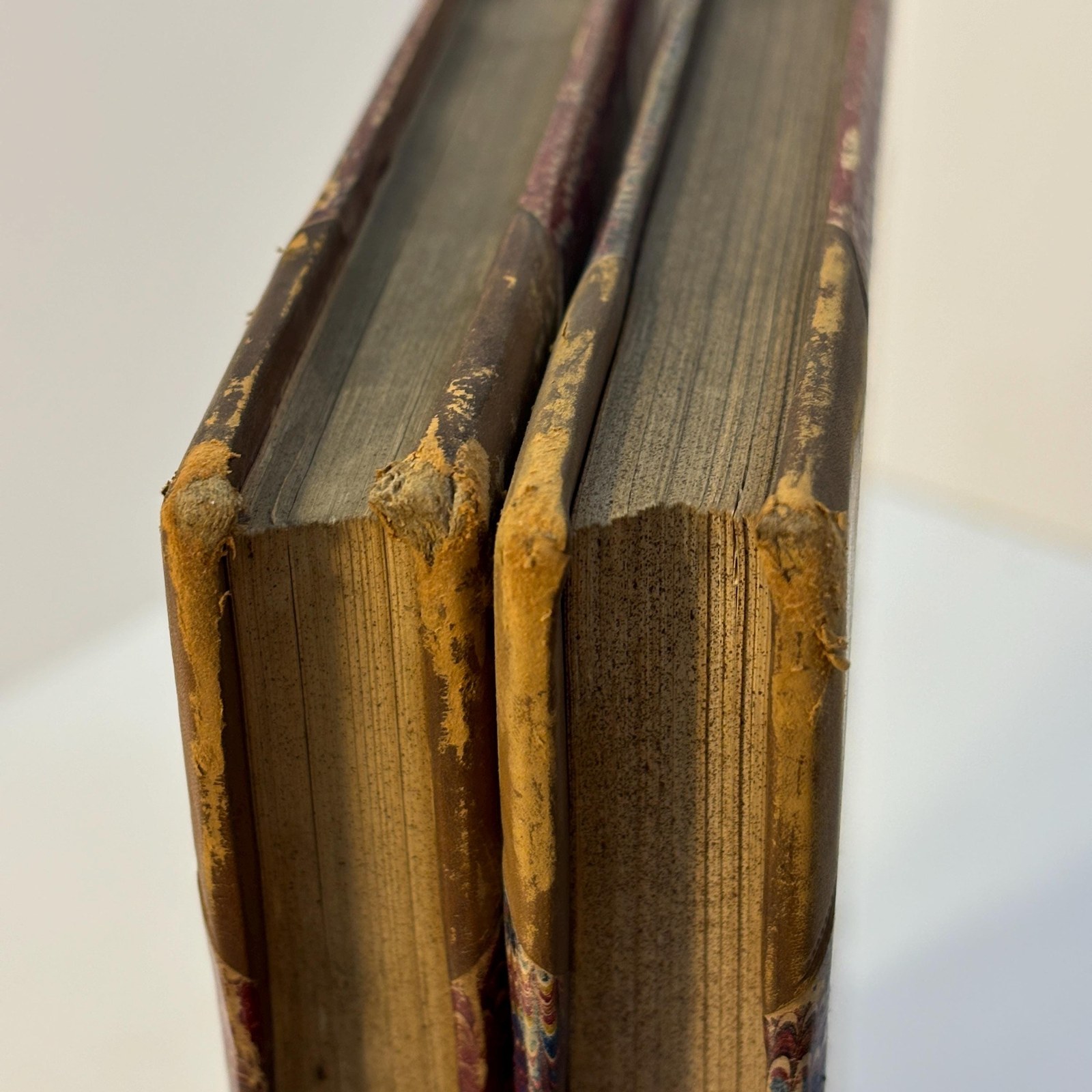 Punch, or The London Charivari. Vols. LXIV, LXV for the year 1873, 2 volumes. — photograph 9.