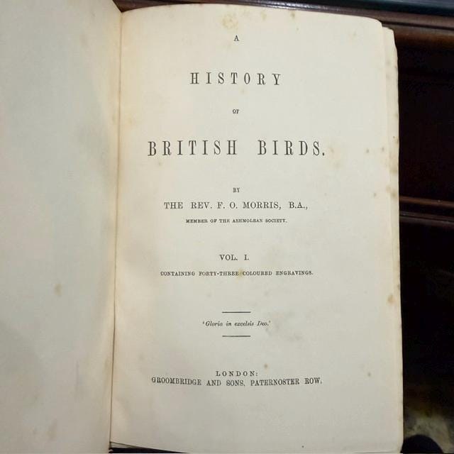 A History of British Birds, Containing Forty-Three Coloured Engravings (8 volumes, 358 hand colored plates) — photograph 2.