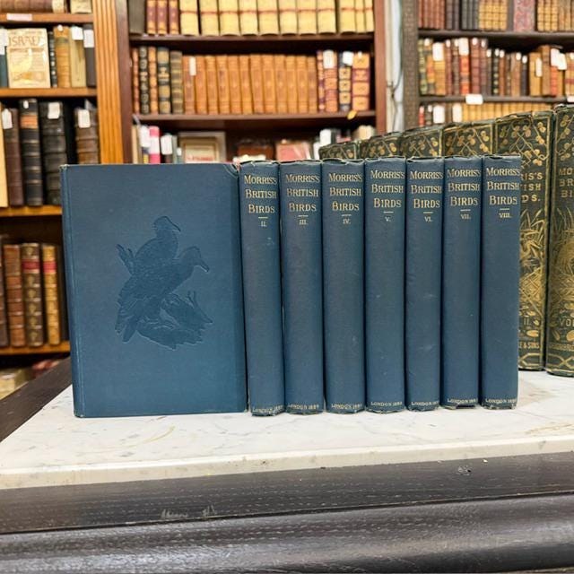 A History of British Birds, Containing Forty-Three Coloured Engravings (8 volumes, 358 hand colored plates) — photograph 5.
