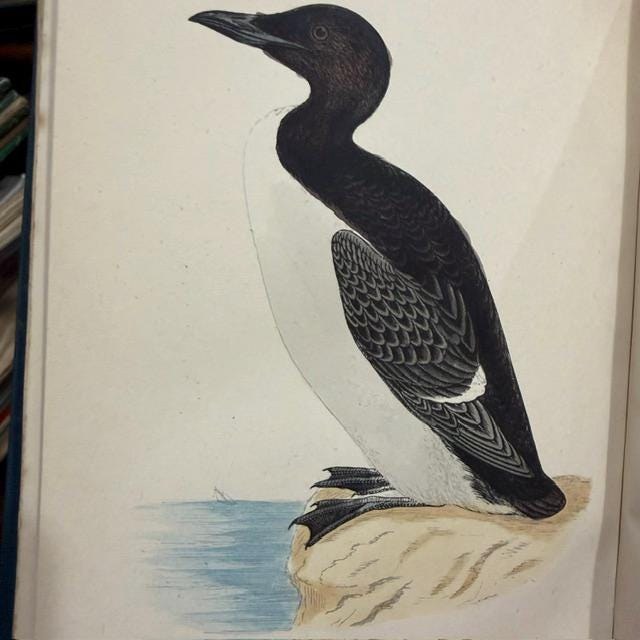 A History of British Birds, Containing Forty-Three Coloured Engravings (8 volumes, 358 hand colored plates) — photograph 6.
