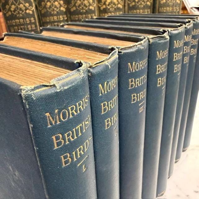A History of British Birds, Containing Forty-Three Coloured Engravings (8 volumes, 358 hand colored plates) — photograph 9.