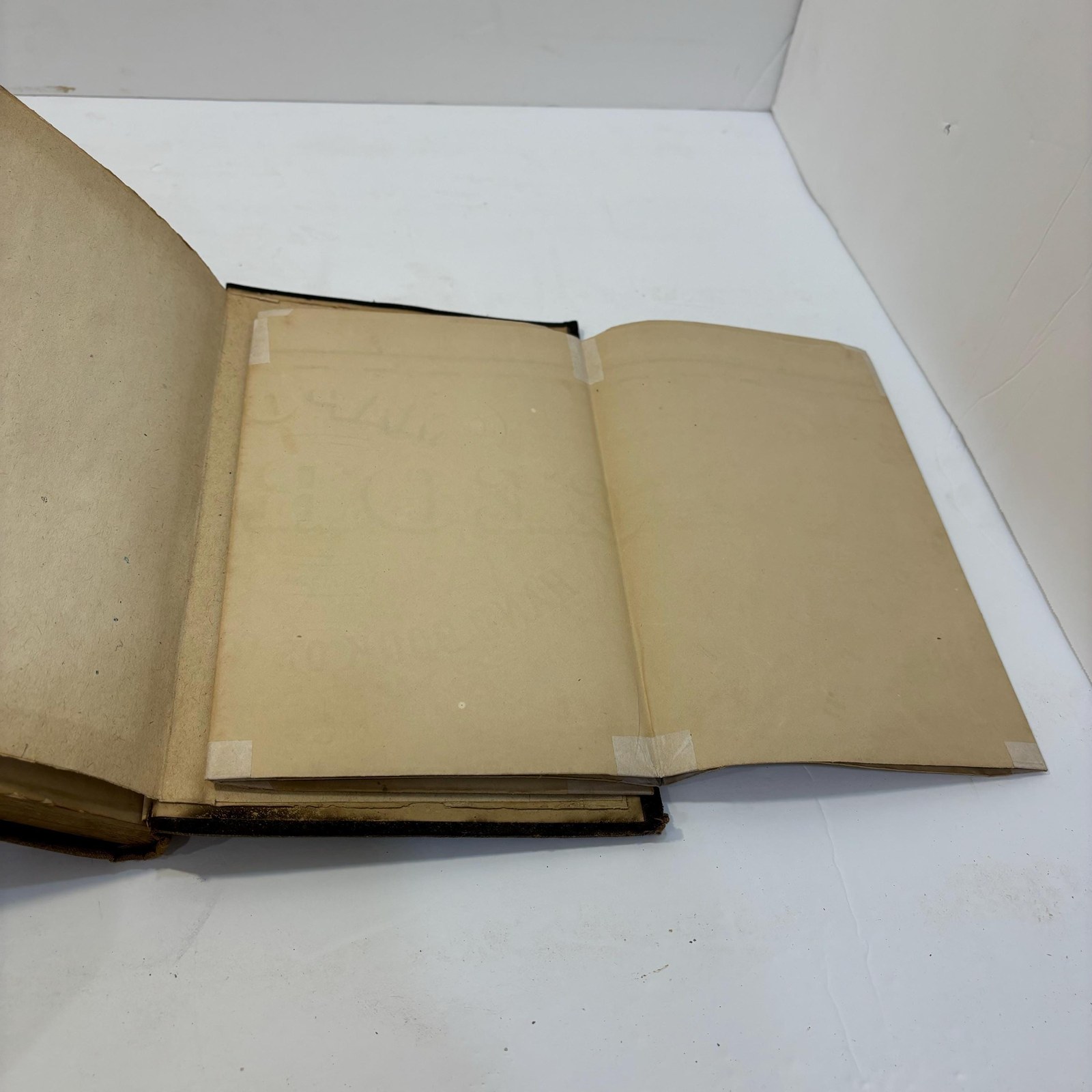 Hand-Book of The State of Georgia Accompanied by a Geological Map of The State — photograph 4.