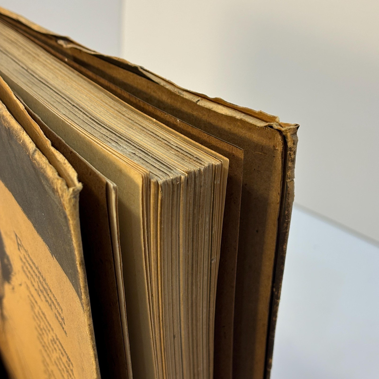 Elbert Hubbard's Scrap Book Containing the Inspired and Inspiring Selections Gathered During a Life Time of Discriminating Reading for His Own Use. Printed and Made Into a Book by The Roycrofters, at Their Shops, In East Aurora, Erie County, New York State — photograph 9.