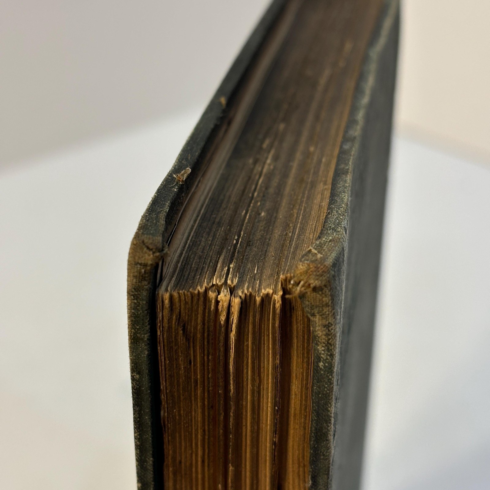 Life in Dixie During The War. 1861-1862-1863-1864-1865. Third Edition, Enlarged — photograph 10.