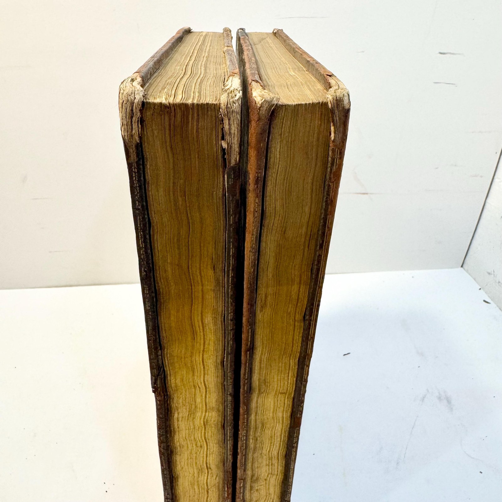 The Works of Sir William Temple, Bart. In Two Volumes. To Which is Prefixed, The Life and Character of Sir William Temple, Written by A Particular Friend. — photograph 6.